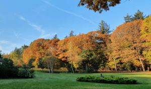 herfst